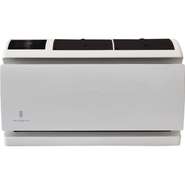 Friedrich wct12a30a 1