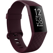 Fitbit fb417byby 1