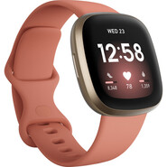 Fitbit fb511glpk 1