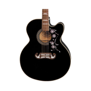 Epiphone eej2bkgh1 1