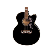 Epiphone eej2vsgh1 1