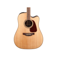 Takamine takgd93cenat 1