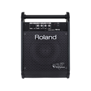 Roland pm 10 1