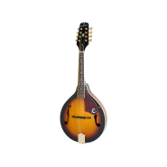 Epiphone ef30asgh1 1