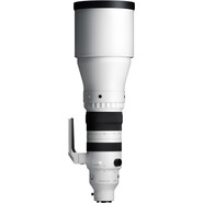Sigma Sigma 300-600mm f/4 DG OS Sports Lens (Sony E)