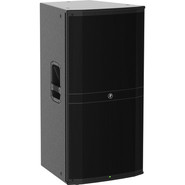 Mackie drm315 1