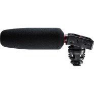 Tascam dr 10sg 1