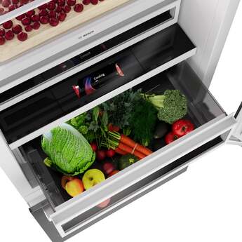 Bosch B30BB130SS 30 Inch Bottom Freezer Refrigerator: Stainless Stainless Steel — thumbnail 13