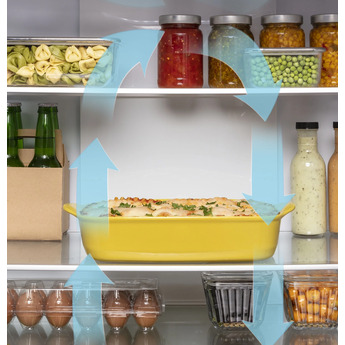 GE GBE17HYRFS 32 Inch Bottom Freezer Refrigerator, in Fingerprint Resistant Stainless Steel — thumbnail 19