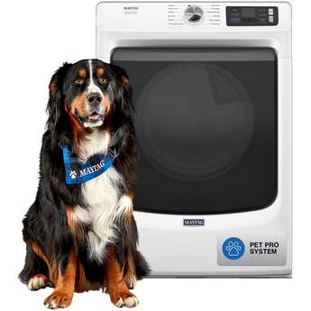 Maytag 27 Inch Pet Pro Front Load Electric Dryer: White — thumbnail 16
