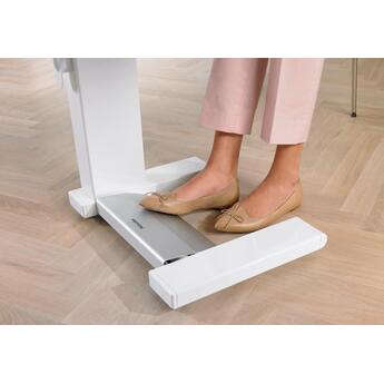 Miele Rotary Iron with Wide Width Roller, Open End Design, Easy Folding Function, 3 Temperature Settings, Variable Roller Speed and Fold Away Design, For Commercial and Residential Use — thumbnail 15