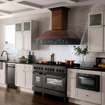 Z Line ZLINE RABBR48 48 Inch Black Stainless Steel Dual Fuel Freestanding Range, in Bla — thumbnail 23
