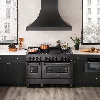 Z Line ZLINE RABBR48 48 Inch Black Stainless Steel Dual Fuel Freestanding Range, in Bla — thumbnail 34