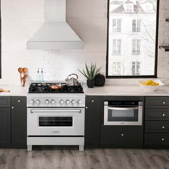 Z Line ZLINE RASSN36 36 Inch Snow Stainless Steel Gas Convection Freestanding Range — thumbnail 25