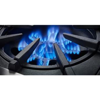 Bluestar rnb484ftbv2cf 2