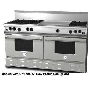 Bluestar rnb606gv2l 2