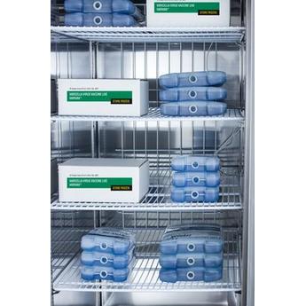 AccuCold AFS49ML 55.25 Inch Stainless Steel Freestanding Upright Freezer — thumbnail 7