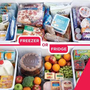 Frigidaire 20 Cu. Ft. Garage Ready Manual Defrost Chest Freezer: White — thumbnail 8
