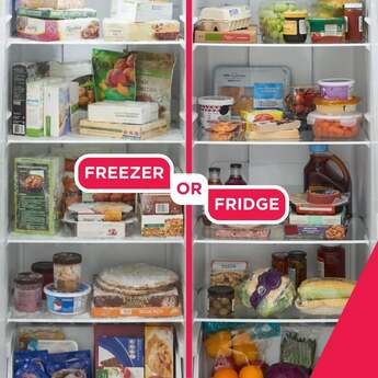 Frigidaire 21 Cu. Ft. Garage Ready Upright Freezer: Stainless Steel Look — thumbnail 8