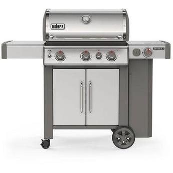 Weber 61006001