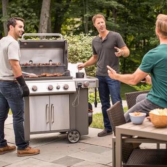 Weber 61006001 — thumbnail 2