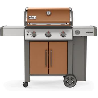 Weber 61025001