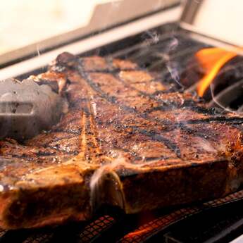 Napoleon P500RSIBNK3 — thumbnail 25