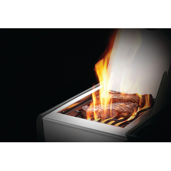 Napoleon RXT425SIBNSS1 — thumbnail 16