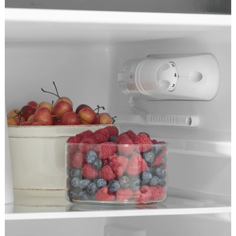 GE 24" 9.9 cu.ft. Stainless Steel Top Freezer Refrigerator — thumbnail 10