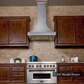 Z Line ZLINE 8632S48  Designer Series 48 Inch Wall Mount Ducted Hood — thumbnail 13