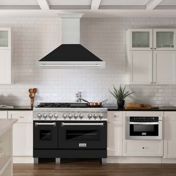 Z Line ZLINE 8654SNXWM48  48 Inch Wall Mount Ducted Hood — thumbnail 11