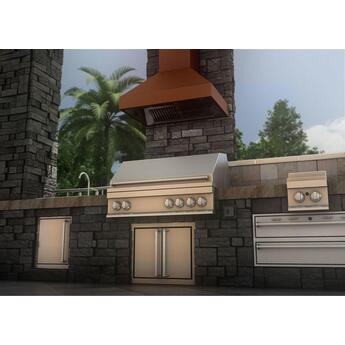 Z Line ZLINE 8667C48 Designer Series 48 Inch Wall Mount Ducted Hood — thumbnail 13