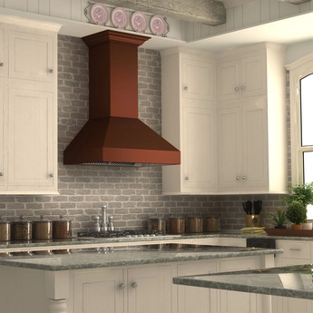 Z Line ZLINE 8667C48 Designer Series 48 Inch Wall Mount Ducted Hood — thumbnail 26