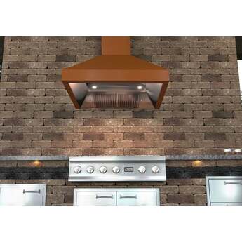 Z Line ZLINE 8667C48 Designer Series 48 Inch Wall Mount Ducted Hood — thumbnail 4