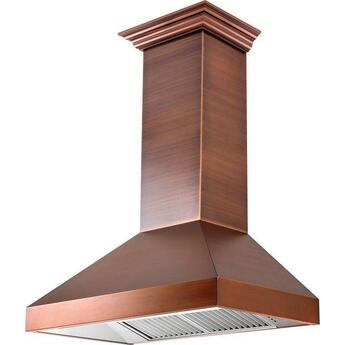 Z Line ZLINE 8667C48 Designer Series 48 Inch Wall Mount Ducted Hood — thumbnail 9
