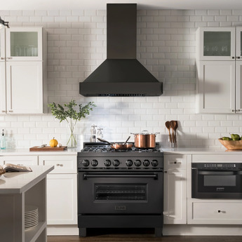 Z Line ZLINE BS655N48 48 Inch Wall Mount Ducted Hood — thumbnail 38
