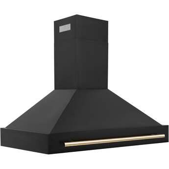 Z Line ZLINE BS655Z48G Autograph Edition Series 48 Inch Wall Mount Ducted Hood