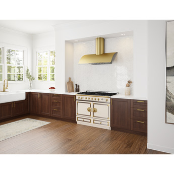 Zephyr COKE48CBGX Designer Series 48 Inch Wall Mount Ducted Hood — thumbnail 7