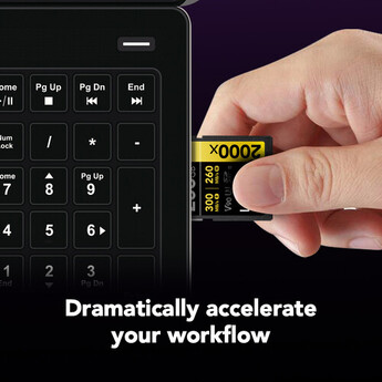 Lexar 256GB Professional 2000x UHS-II SDXC Memory Card — thumbnail 3
