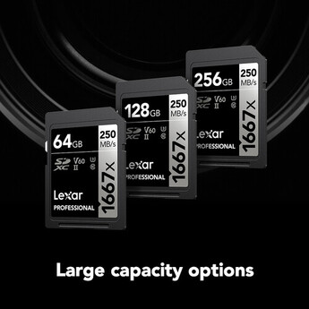 Lexar 256GB Professional 1667x UHS-II SDXC Memory Card — thumbnail 4