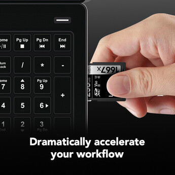Lexar 256GB Professional 1667x UHS-II SDXC Memory Card — thumbnail 5