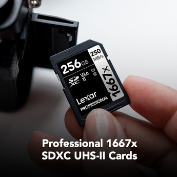 Lexar 256GB Professional 1667x UHS-II SDXC Memory Card — thumbnail 8