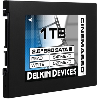 Delkin devices ddssdcn 1tb 2