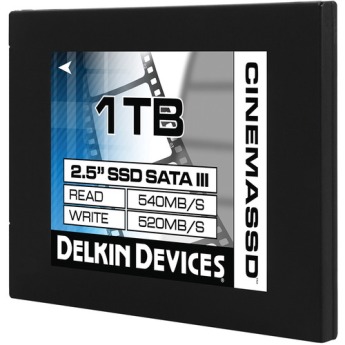 Delkin devices ddssdcn 1tb 3