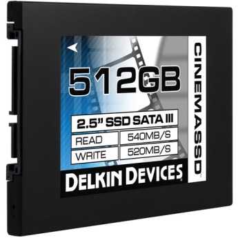 Delkin devices ddssdcn512gb 2