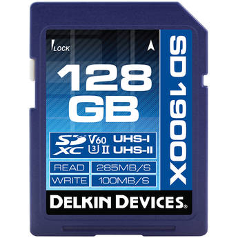 Delkin devices ddsd19001hv 1