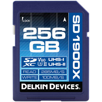 Delkin devices ddsd19002hv 1