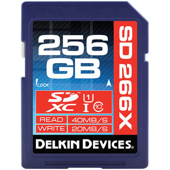 Delkin devices ddsd266256gb a 1