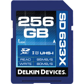 Delkin devices ddsd633256gb a 1