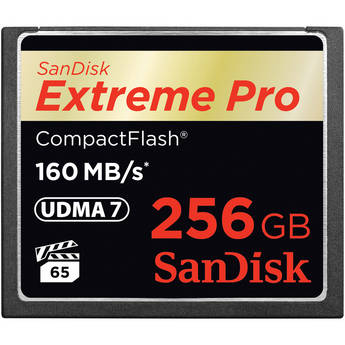 Sandisk sdcfxps 256g a46 1